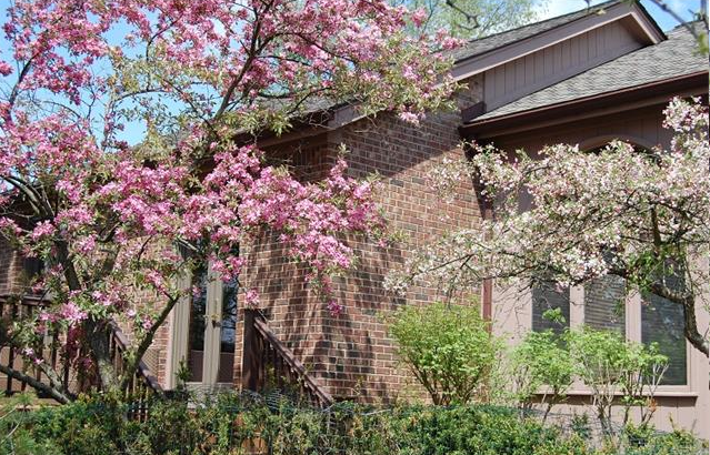 Silver Bell Hills Rochester MI Homes for sale